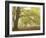 Forest Pale-Doug Chinnery-Framed Photographic Print