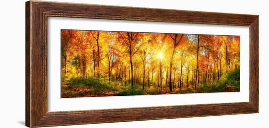 Forest Panorama in Autumn-Smileus-Framed Photographic Print