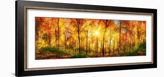 Forest Panorama in Autumn-Smileus-Framed Photographic Print