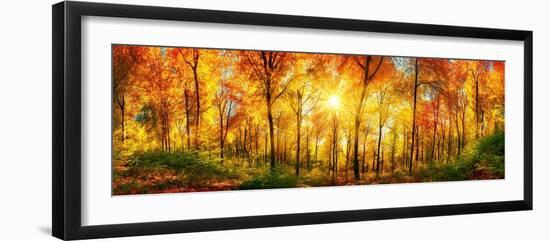 Forest Panorama in Autumn-Smileus-Framed Photographic Print