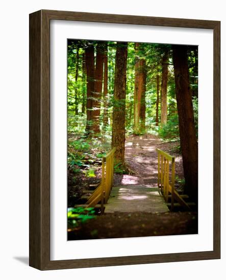 Forest Park Path-Susan Bryant-Framed Art Print