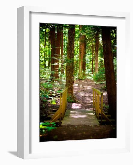 Forest Park Path-Susan Bryant-Framed Art Print