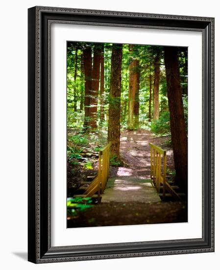 Forest Park Path-Susan Bryant-Framed Art Print