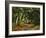 Forest Path, circa 1892-Paul Cézanne-Framed Giclee Print