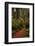 Forest Path III-Danny Head-Framed Photographic Print