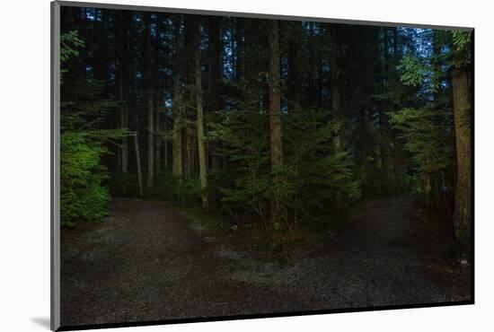 Forest path, Sitka National Historic Park aka Totem Park, Sitka, Alaska-Mark A Johnson-Mounted Photographic Print