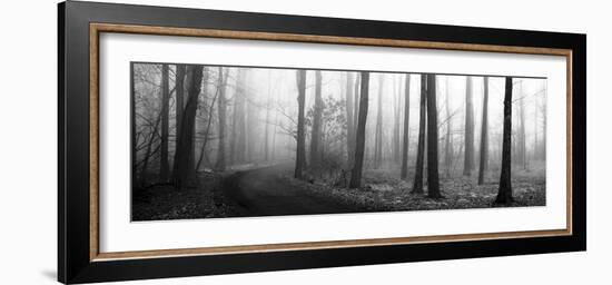 Forest Path-Erin Clark-Framed Art Print