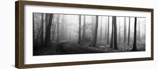 Forest Path-Erin Clark-Framed Art Print