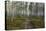 Forest Path-Andreas Stridsberg-Framed Stretched Canvas