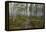 Forest Path-Andreas Stridsberg-Framed Stretched Canvas
