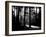 Forest Path-Sharon Wish-Framed Photographic Print