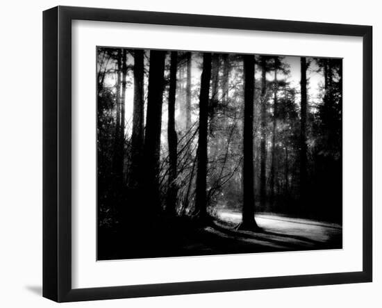 Forest Path-Sharon Wish-Framed Photographic Print