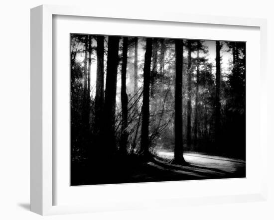 Forest Path-Sharon Wish-Framed Photographic Print