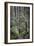 Forest Path-J.D. Mcfarlan-Framed Photographic Print