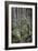 Forest Path-J.D. Mcfarlan-Framed Photographic Print