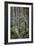 Forest Path-J.D. Mcfarlan-Framed Photographic Print