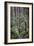 Forest Path-J.D. Mcfarlan-Framed Photographic Print