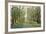 Forest Path-Tim OToole-Framed Art Print