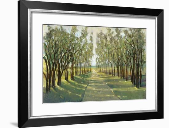 Forest Path-Tim OToole-Framed Art Print