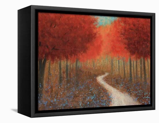 Forest Pathway Crop-James Wiens-Framed Stretched Canvas