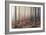 Forest Peace-David Baker-Framed Photographic Print