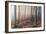 Forest Peace-David Baker-Framed Photographic Print