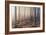 Forest Peace-David Baker-Framed Photographic Print