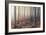 Forest Peace-David Baker-Framed Photographic Print