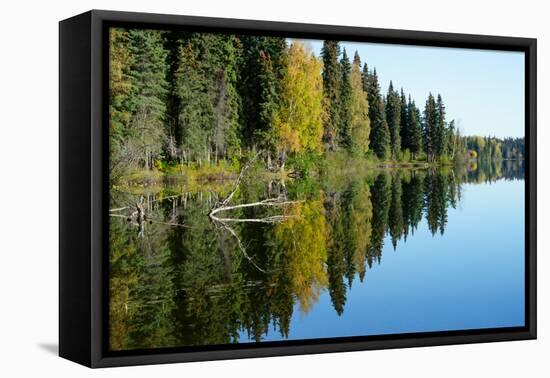 Forest Reflection in Lake-Latitude 59 LLP-Framed Premier Image Canvas