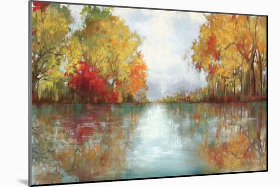 Forest Reflection-Andrew Michaels-Mounted Art Print