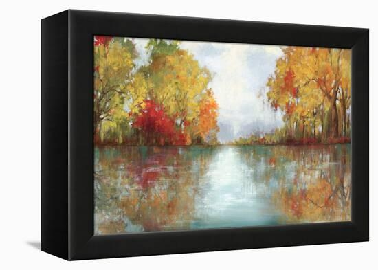 Forest Reflection-Andrew Michaels-Framed Stretched Canvas