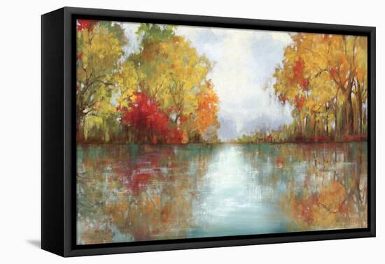 Forest Reflection-Andrew Michaels-Framed Stretched Canvas
