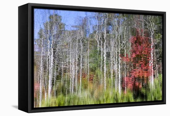 Forest Reflections I-Kathy Mahan-Framed Premier Image Canvas