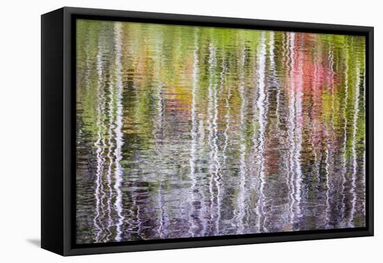 Forest Reflections II-Kathy Mahan-Framed Premier Image Canvas