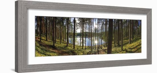 Forest Reflections-Henrik Lund-Framed Giclee Print