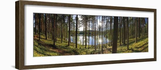 Forest Reflections-Henrik Lund-Framed Giclee Print