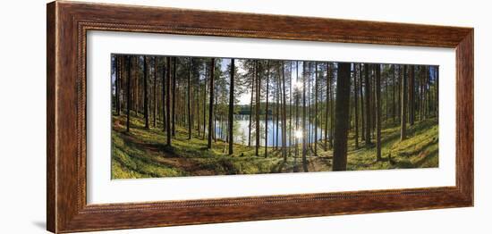 Forest Reflections-Henrik Lund-Framed Giclee Print
