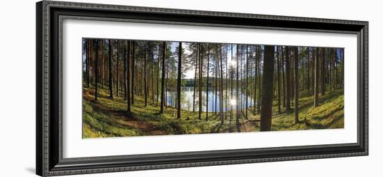 Forest Reflections-Henrik Lund-Framed Giclee Print