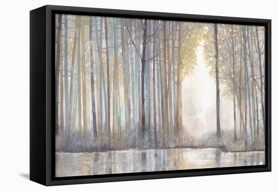 Forest Reflections-Norman Wyatt Jr^-Framed Stretched Canvas