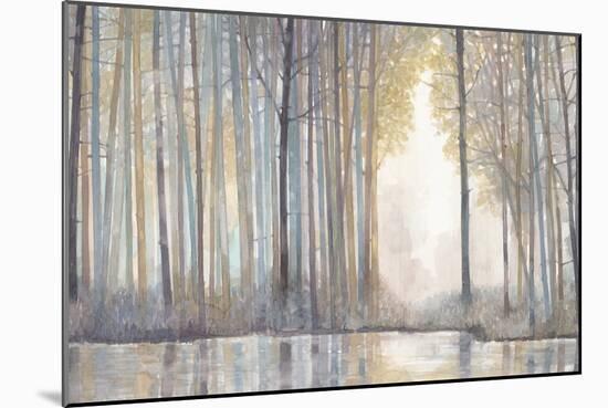 Forest Reflections-Norman Wyatt Jr^-Mounted Art Print