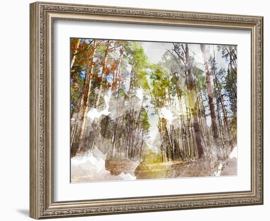 Forest Road I-Chamira Young-Framed Art Print