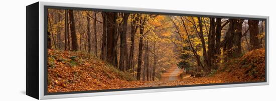 Forest Road Pittsfield Ma-null-Framed Stretched Canvas