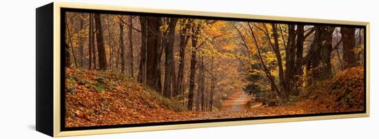 Forest Road Pittsfield Ma-null-Framed Stretched Canvas