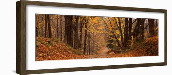 Forest Road Pittsfield Ma-null-Framed Photographic Print