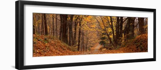 Forest Road Pittsfield Ma-null-Framed Photographic Print