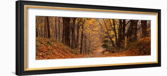 Forest Road Pittsfield Ma-null-Framed Photographic Print