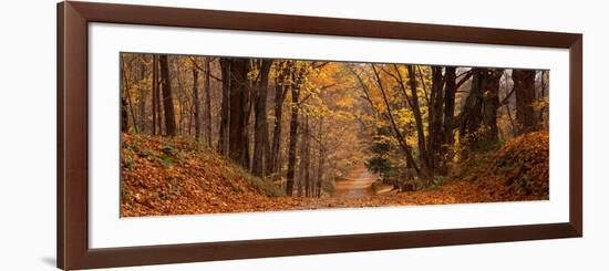 Forest Road Pittsfield Ma-null-Framed Photographic Print