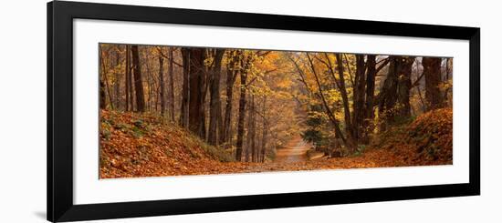 Forest Road Pittsfield Ma-null-Framed Photographic Print