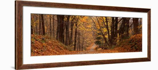 Forest Road Pittsfield Ma-null-Framed Photographic Print