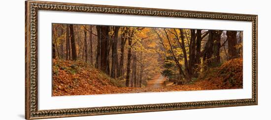 Forest Road Pittsfield Ma-null-Framed Photographic Print